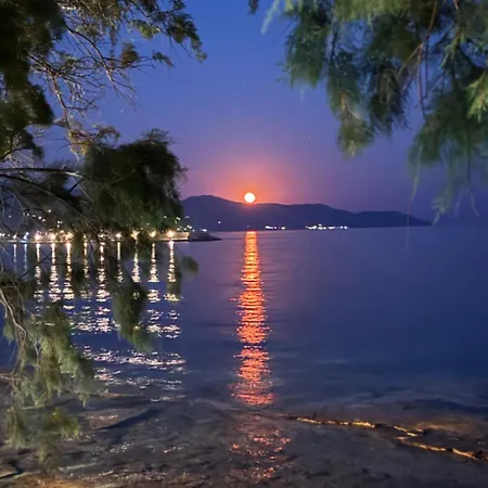 Earis - 100m From The Sea & The Promenade