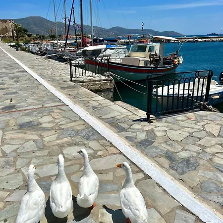 Apartman Earis - 100m From The Sea & The Promenade